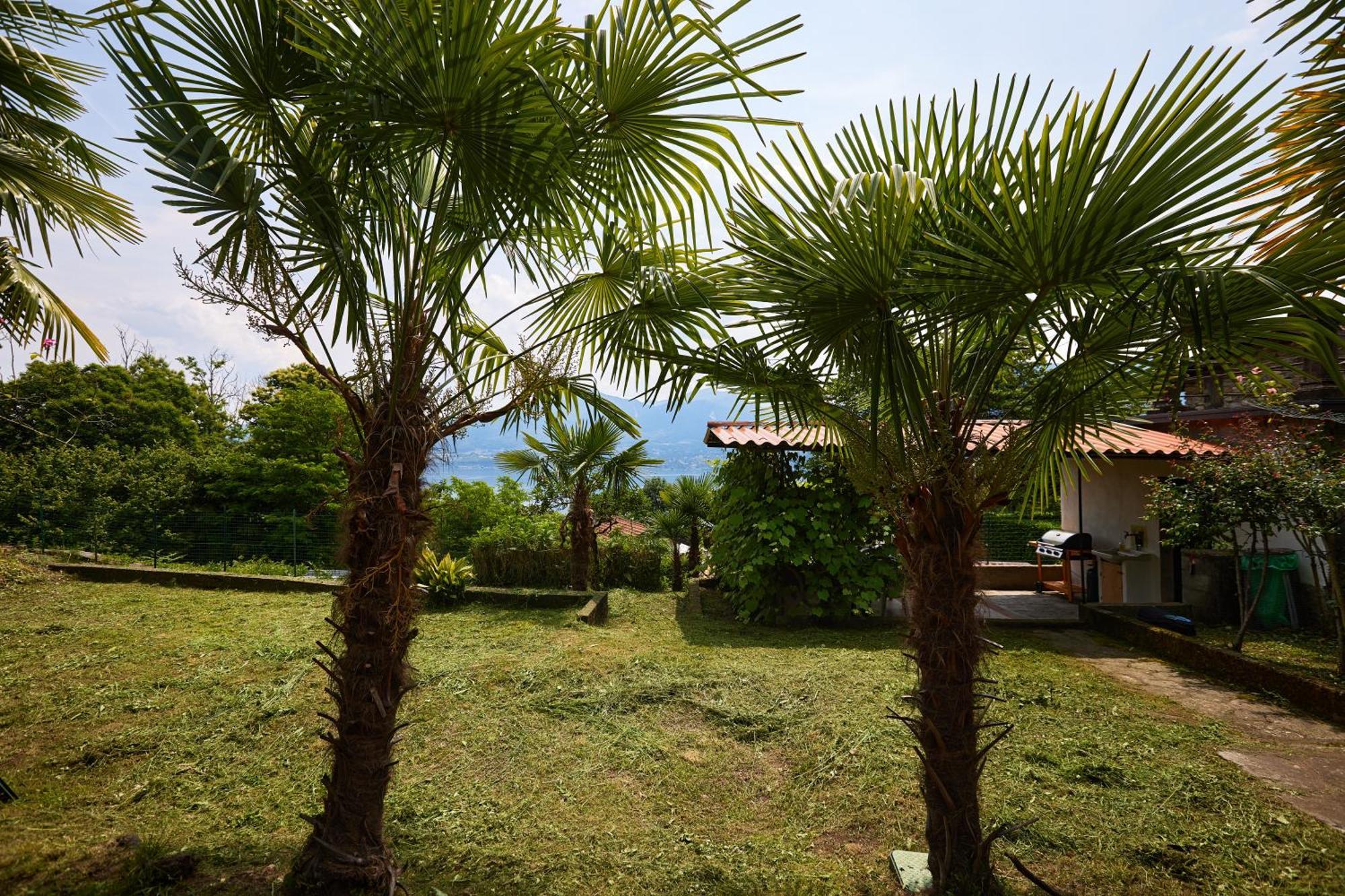 Villa Di Paese - Splendida Vista Lago Maggiore Oggebbio Exterior photo